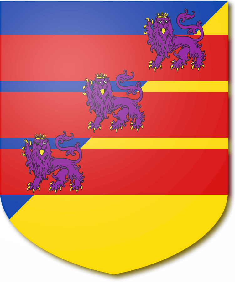 Shield image