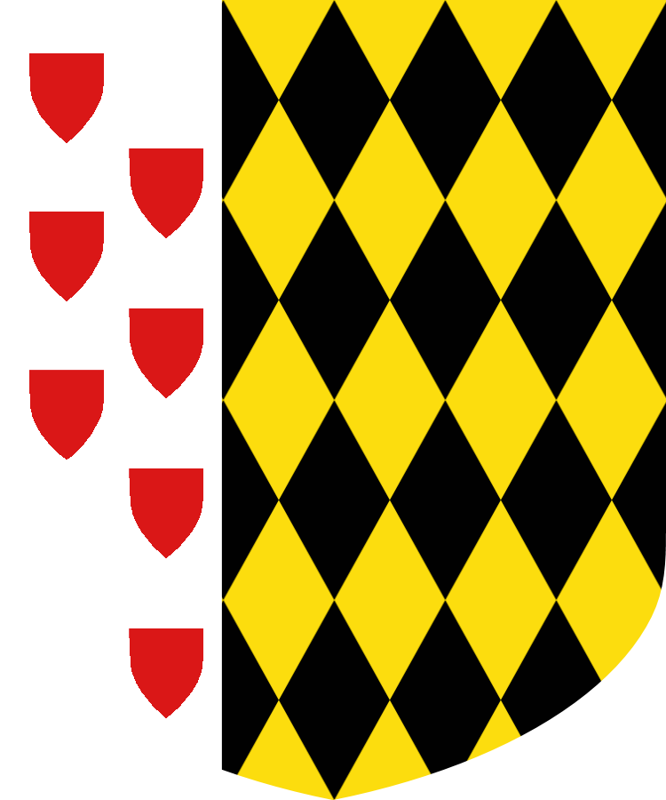 Shield image