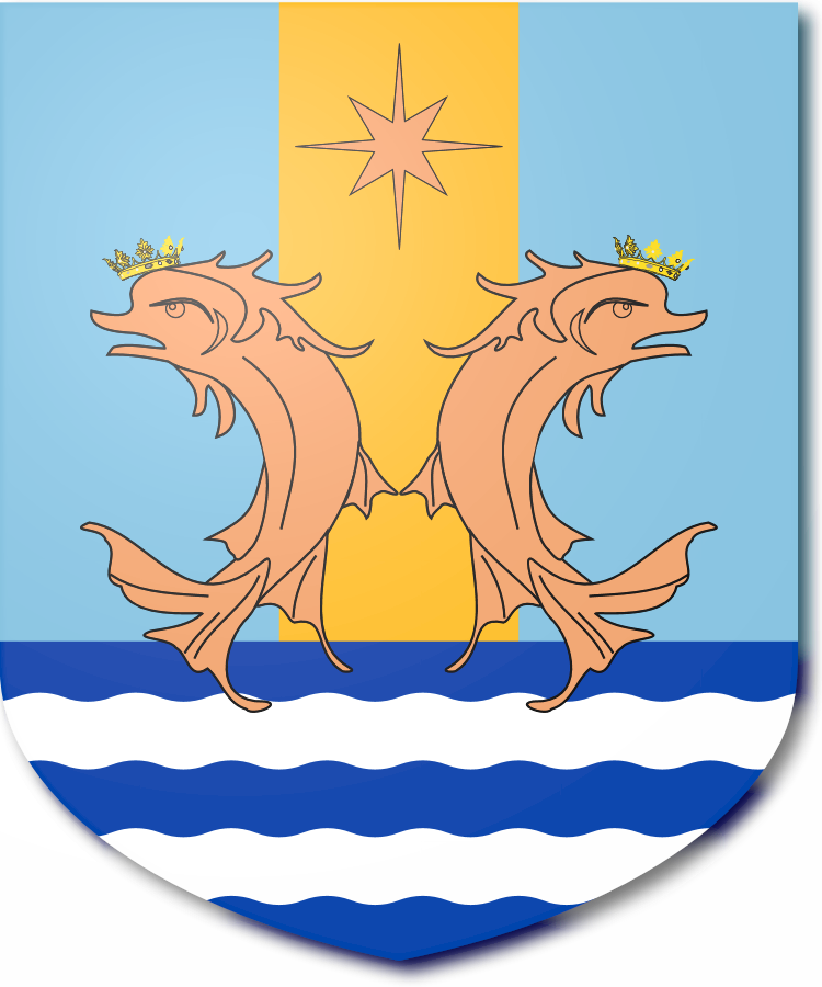 Shield image