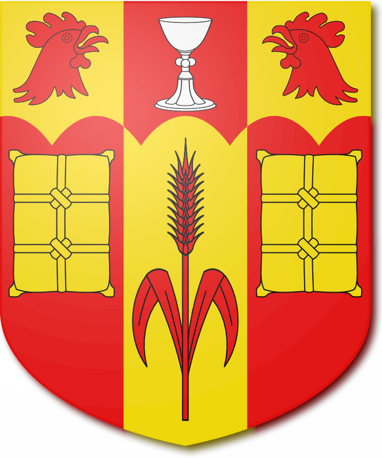 Shield image