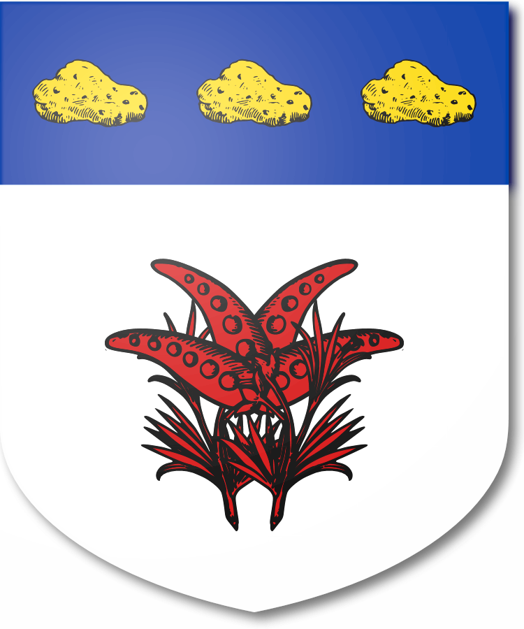 Shield image