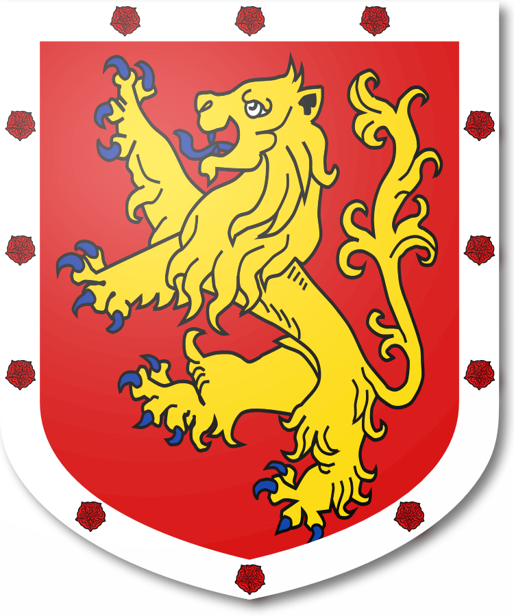 Shield image