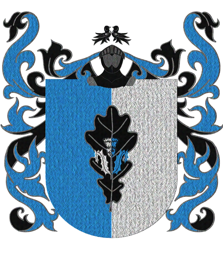 Shield image