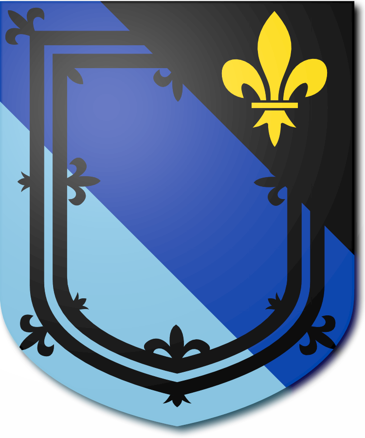 Shield image