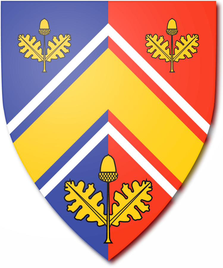 Shield image