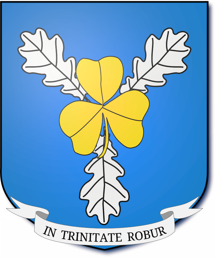 Shield image