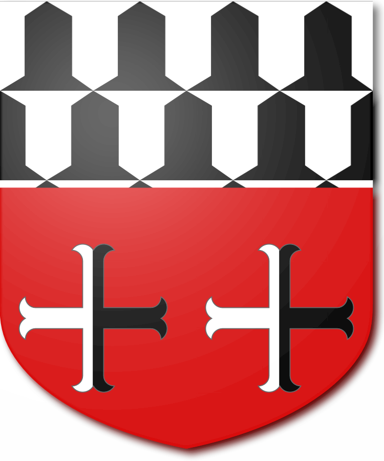 Shield image