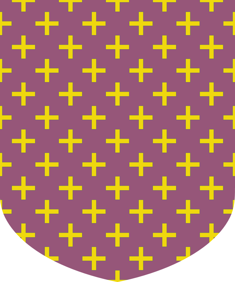 Shield image