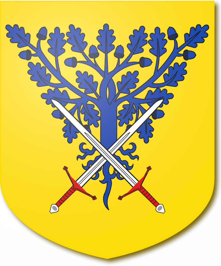 Shield image