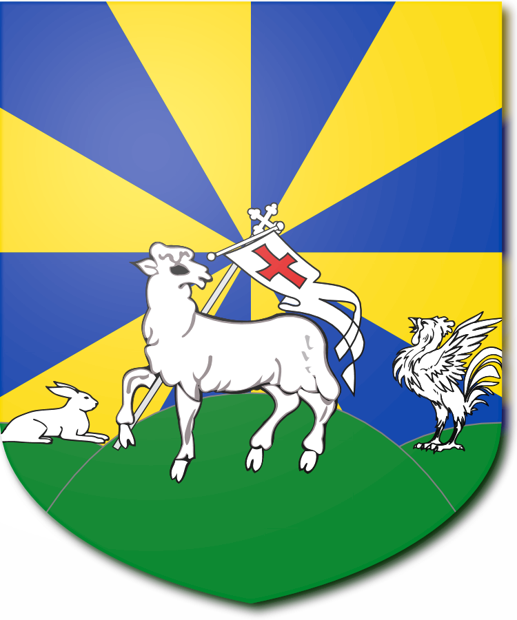 Shield image