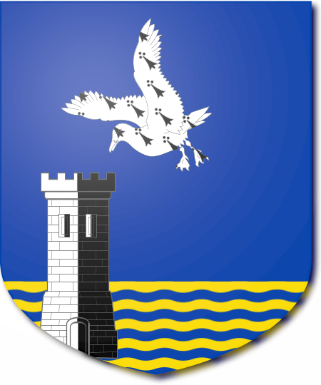 Shield image