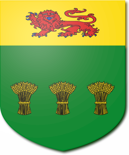 Shield image