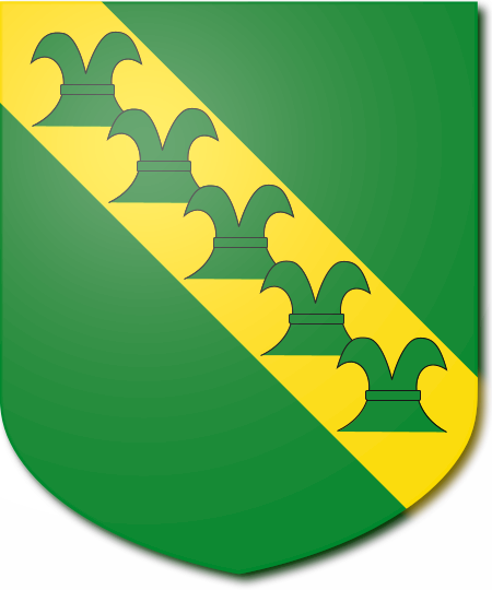 Shield image