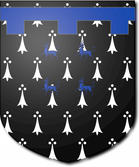 Shield image