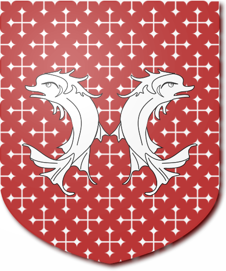 Shield image