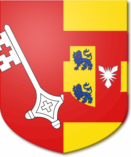 Shield image