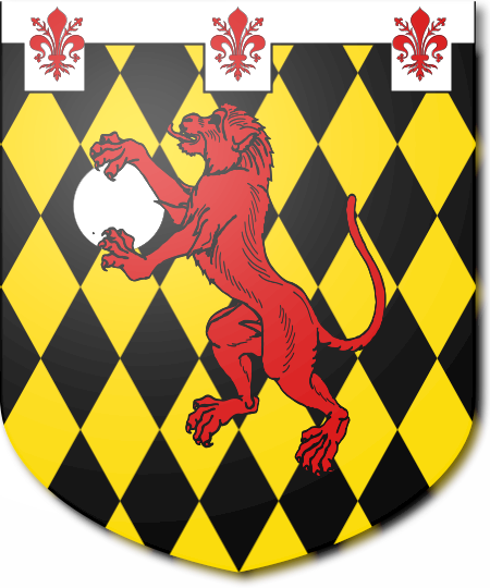 Shield image