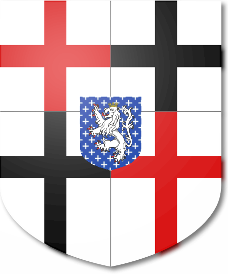 Shield image