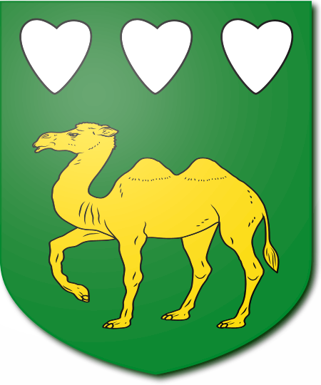 Shield image