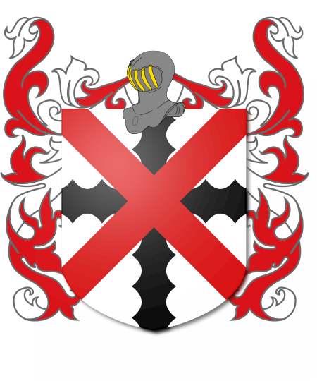 Shield image