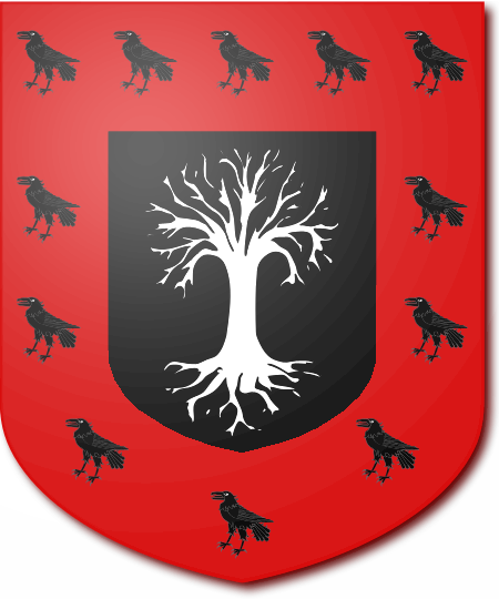 Shield image