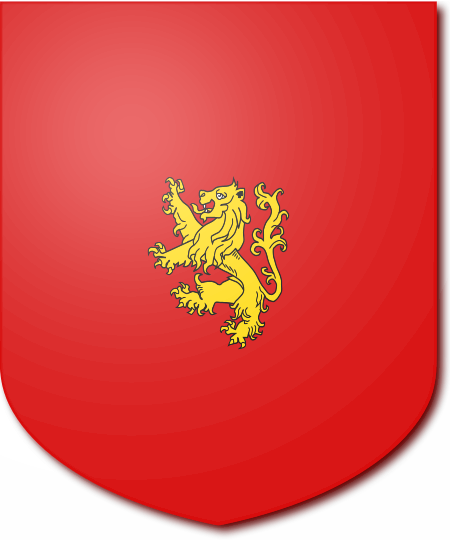 Shield image