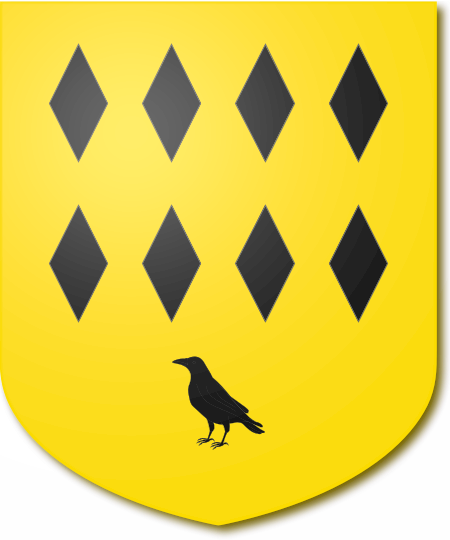 Shield image