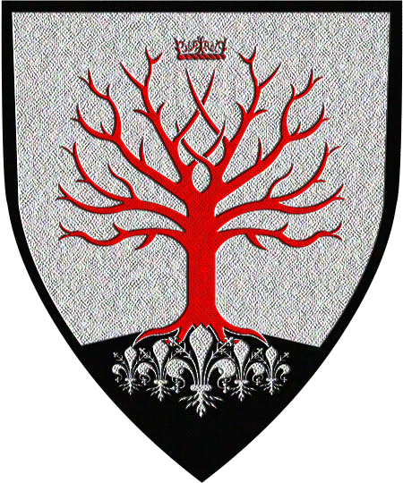 Shield image