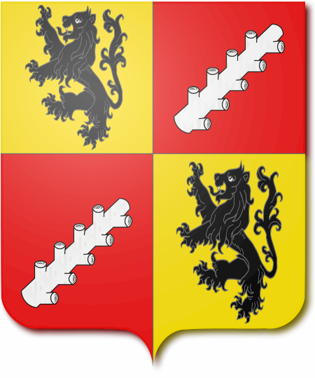 Shield image