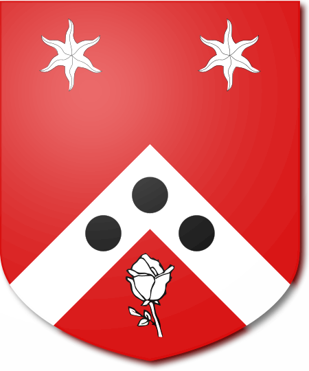 Shield image