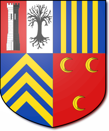 Shield image