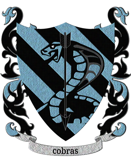 Shield image