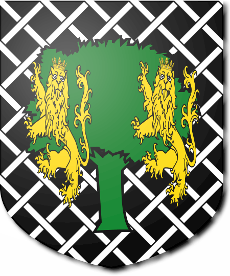 Shield image