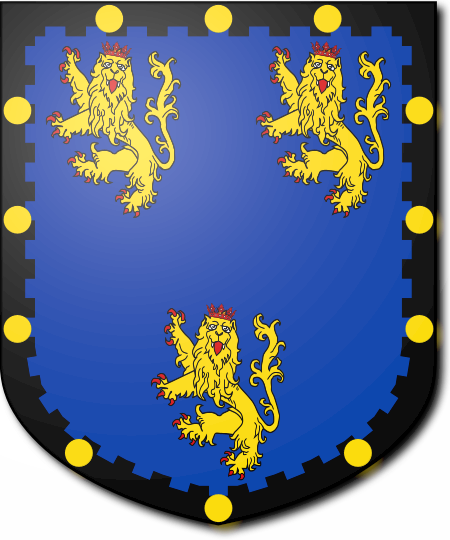 Shield image