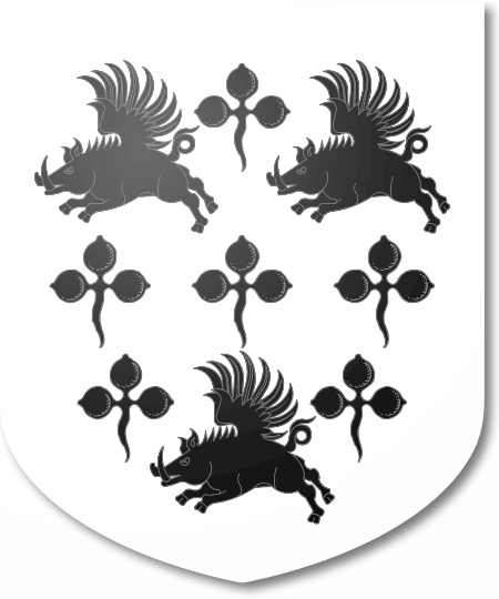 Shield image