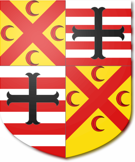 Shield image