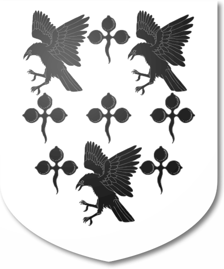 Shield image