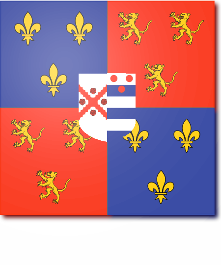 Shield image