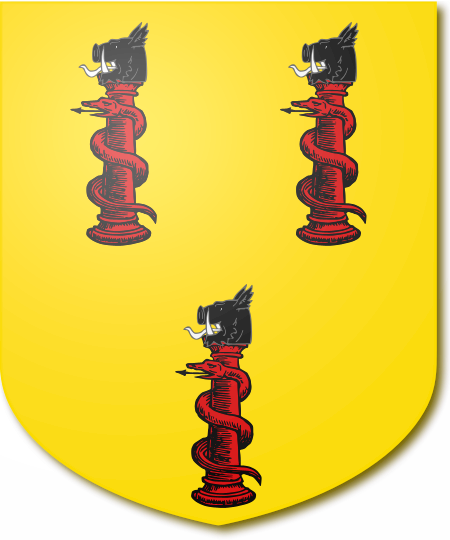 Shield image