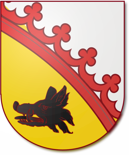 Shield image