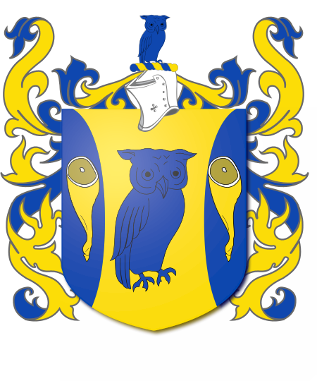 Shield image