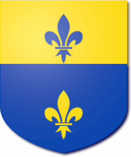 Shield image