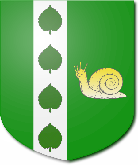 Shield image