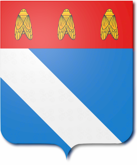 Shield image