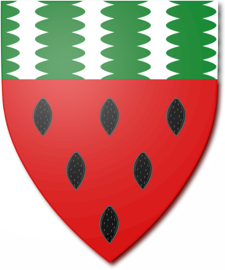 Shield image