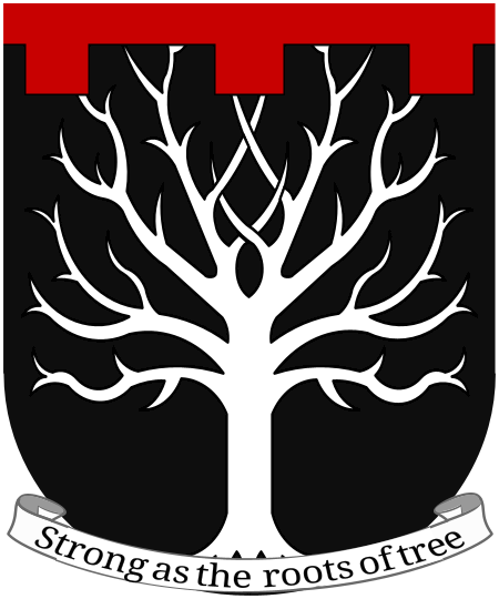 Shield image