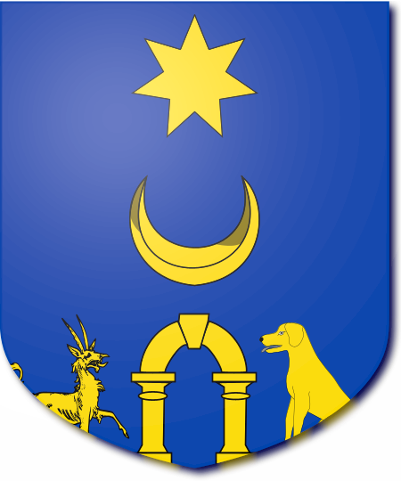 Shield image