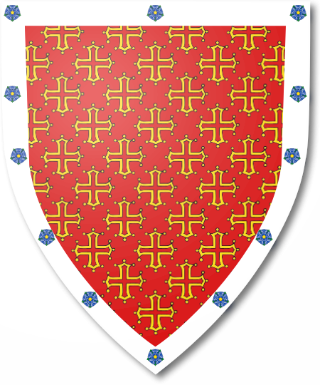 Shield image