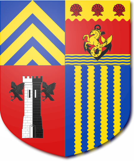 Shield image