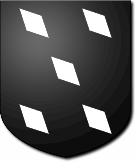 Shield image